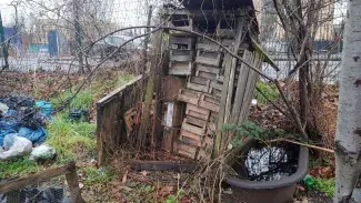 a picture of an old dilapidated wooden shed with the door open showing equally dilapidated stacks of traditional wooden fruit boxes