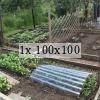 picture showing a very neatly laid out allotment plot